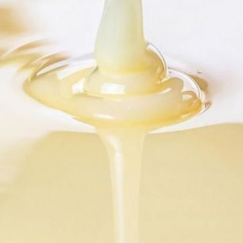Condensed Milk