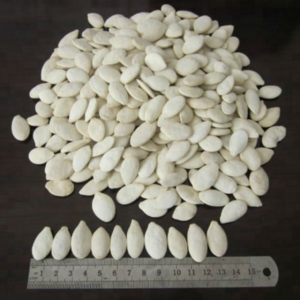 Pumpkin Seed