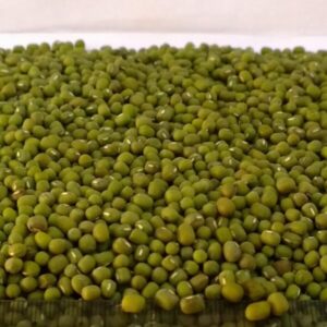 Green Mung Beans