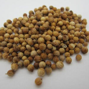 Coriander