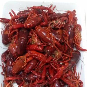 Crawfish