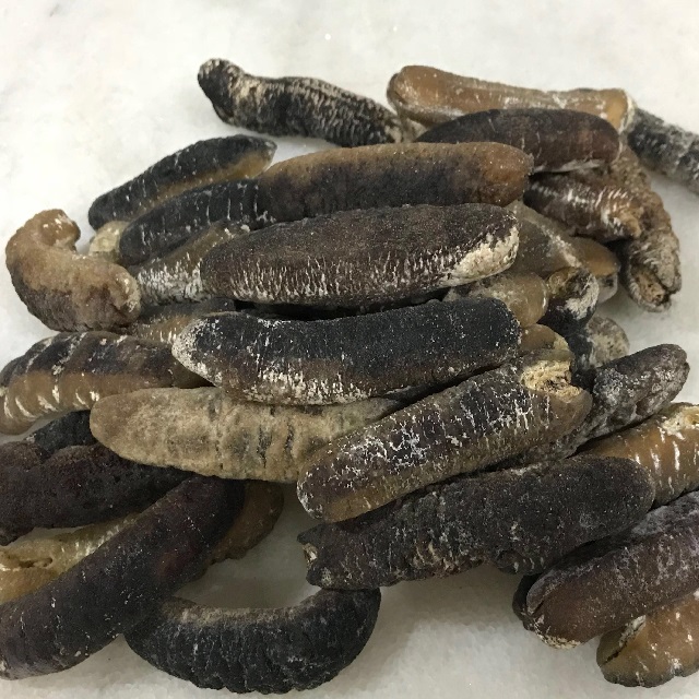 Dried Sea Cucumber