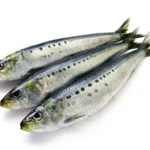 Frozen Sardines